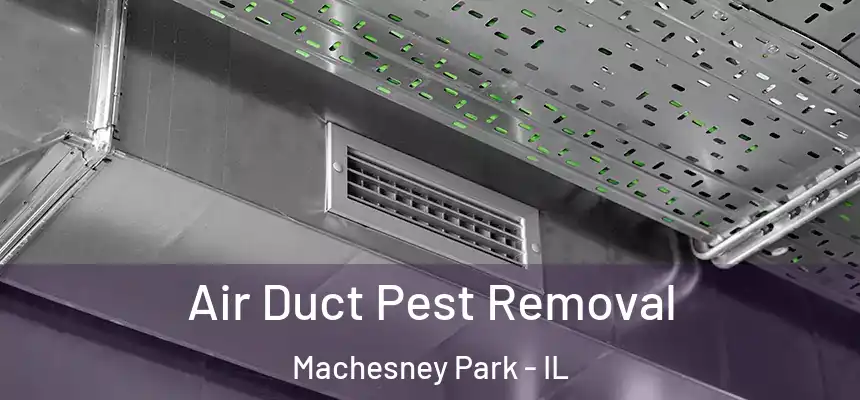 Air Duct Pest Removal Machesney Park - IL
