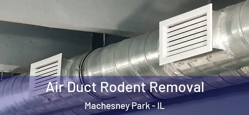Air Duct Rodent Removal Machesney Park - IL