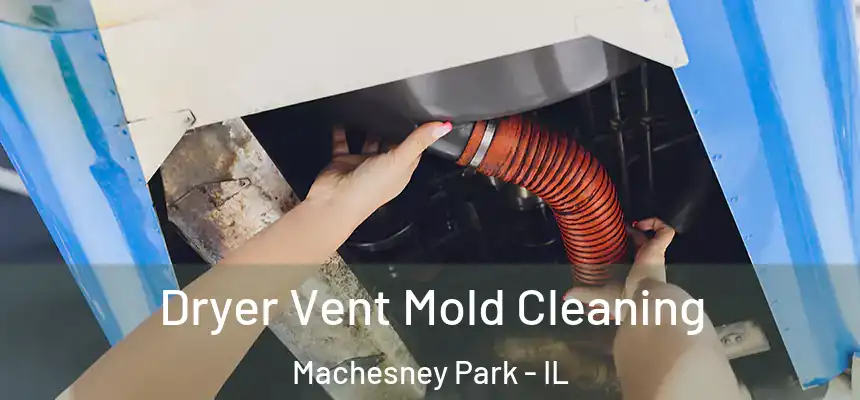 Dryer Vent Mold Cleaning Machesney Park - IL