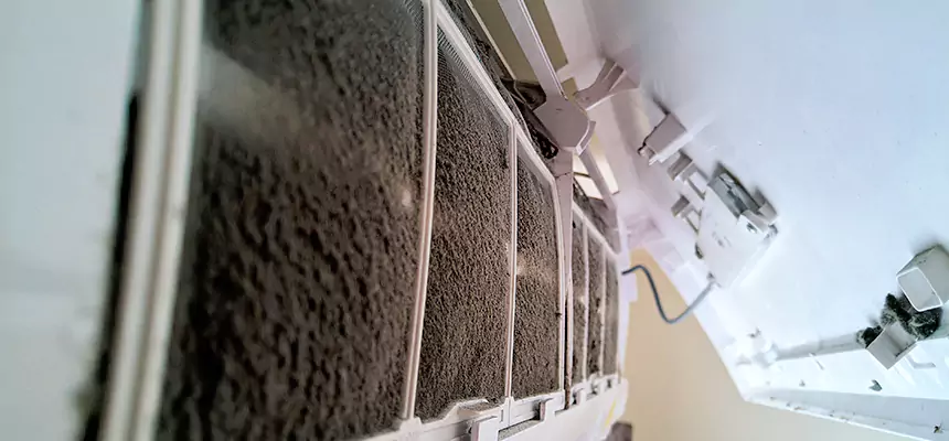 Preventive Air Duct Bacteria Removal in Machesney Park