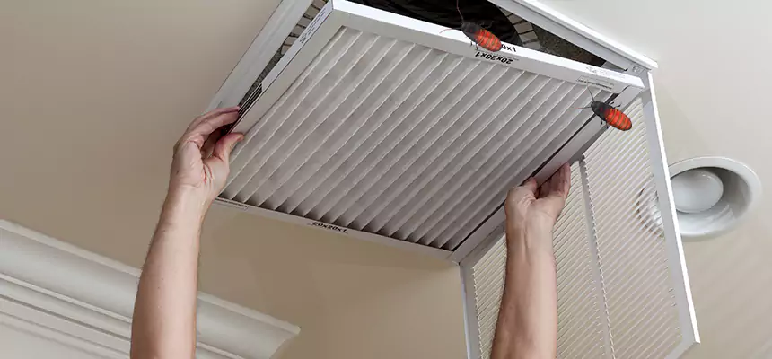 Preventive Cockroach-Proofing for Ducts in Machesney Park