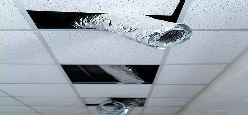 Our Air Duct Pet Hair Removal Services in Machesney Park, IL