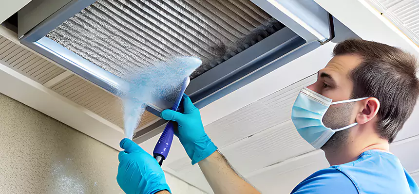 Proactive Dryer Vent & Auxiliary Duct Pollen Cleanup in Machesney Park, IL