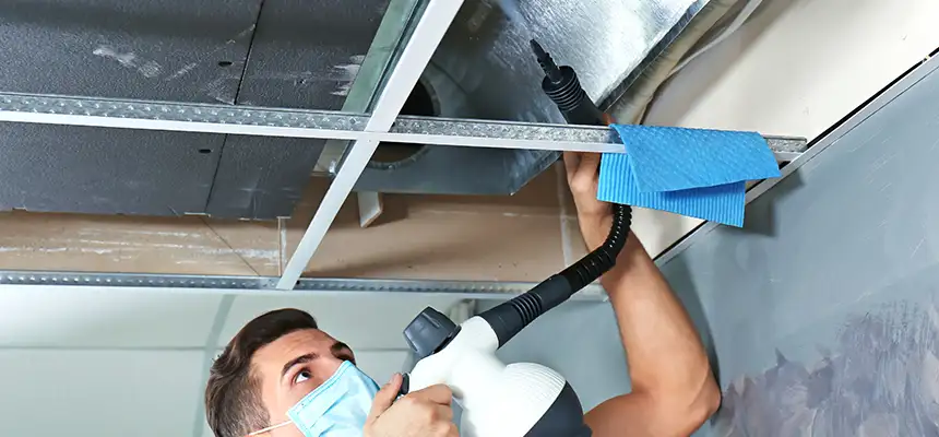 Our Air Duct Rodent Removal Services in Machesney Park, IL
