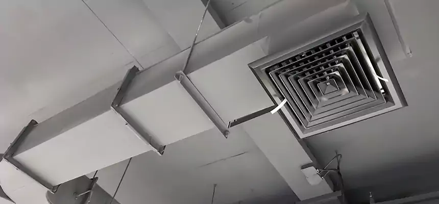 Restorative Allergy Relief Vent Cleaning – Coil, Blower & Housing Detail in Machesney Park