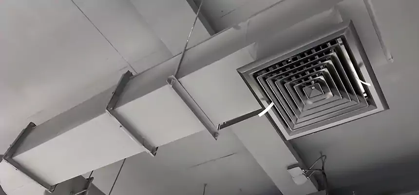 Our Pest Removal From Ducts Services in Machesney Park, IL