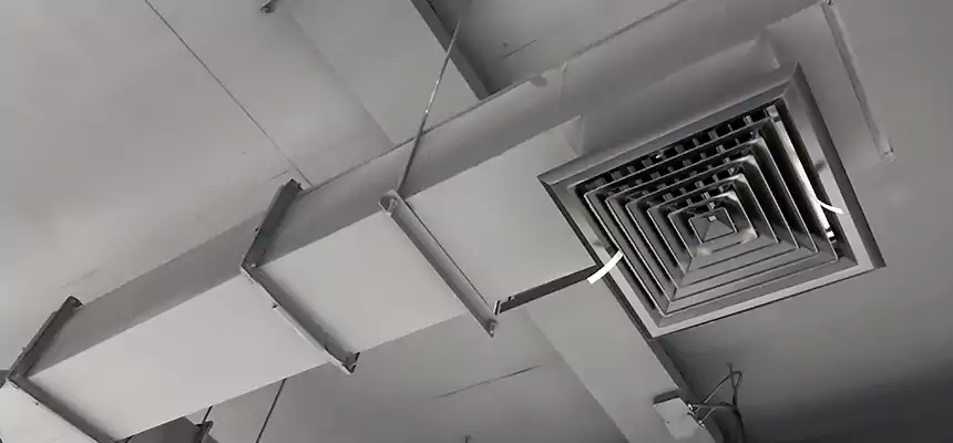 Our Rodent Droppings In Vents Services in Machesney Park, IL