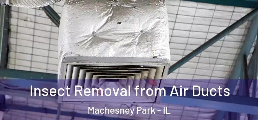  Insect Removal from Air Ducts Machesney Park - IL