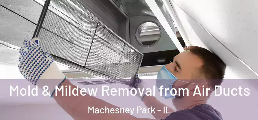 Mold & Mildew Removal from Air Ducts Machesney Park - IL