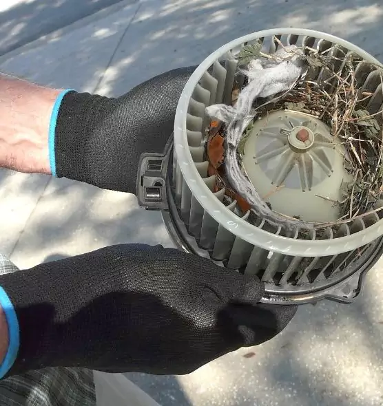 About Air Duct Mice Removal in Machesney Park, IL