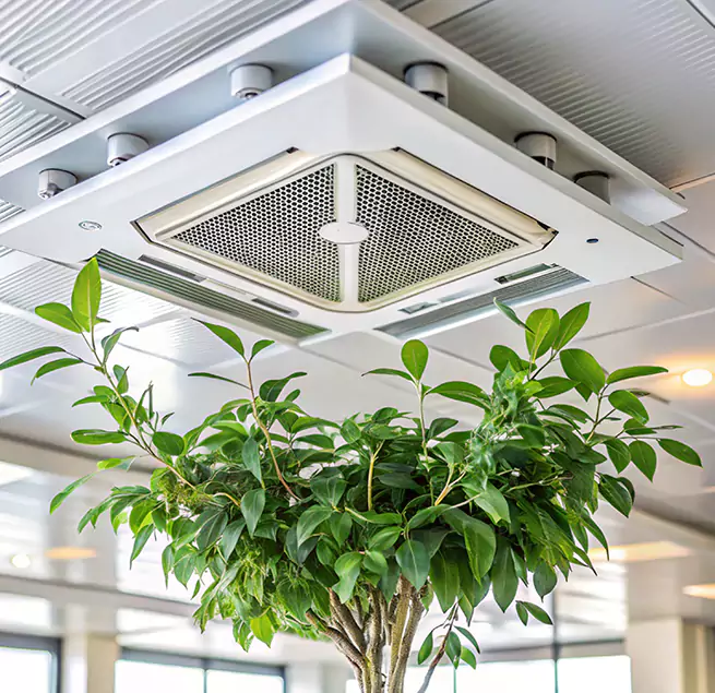 Why Homeowners & Businesses Trust Us in Machesney Park, IL?