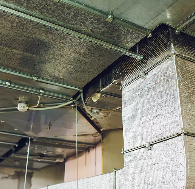 Why Homeowners & Businesses Trust Us in Machesney Park, IL?