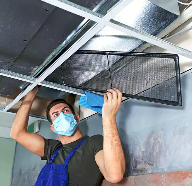 Why Homeowners Businesses Trust Us in Machesney Park, IL